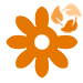 Fleur orange