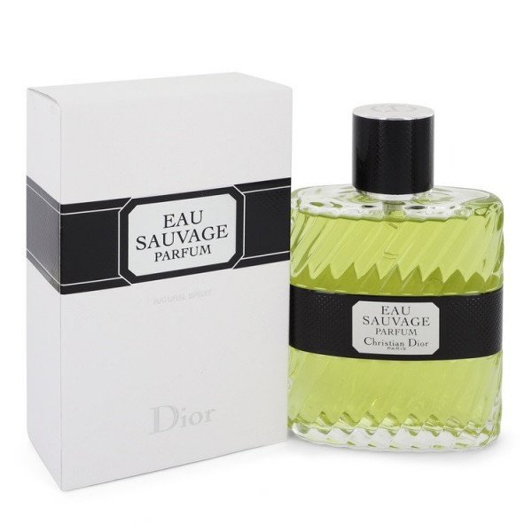 Dior Eau Sauvage - Eau de parfum pour homme - 100 ml - INCI Beauty